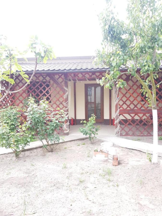 Hotel Casa Carter Sfântu Gheorghe Exterior foto